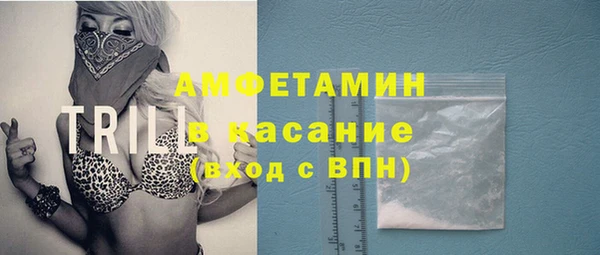 мет Дмитриев