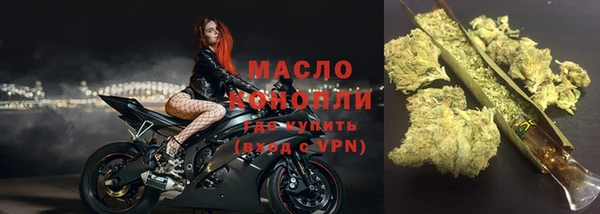 мет Дмитриев