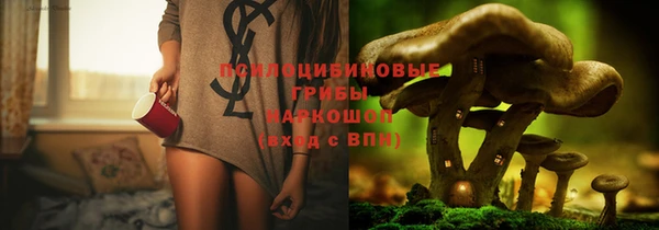 прущая мука Дмитровск