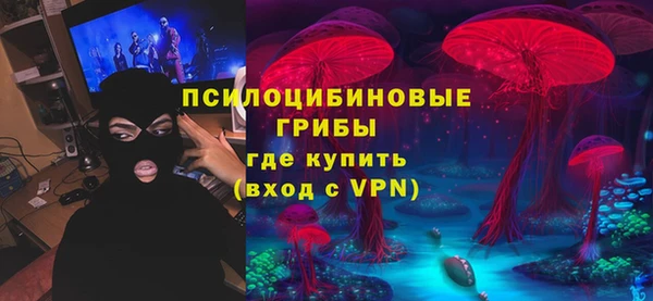 прущая мука Дмитров