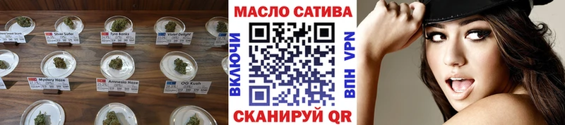 как найти   Похвистнево  ТГК THC oil 