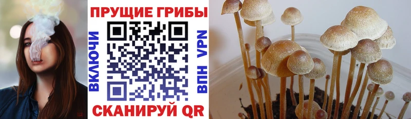 Галлюциногенные грибы ЛСД  Похвистнево 